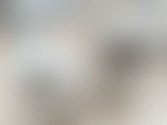 ボロニーズのじろくんとトイプードルのさぶろくん