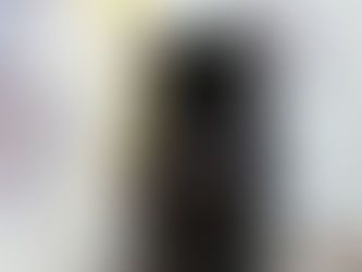 ポメラニアンのかんたくん