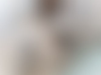 ボロニーズのじろくんとトイプードルのさぶろくん