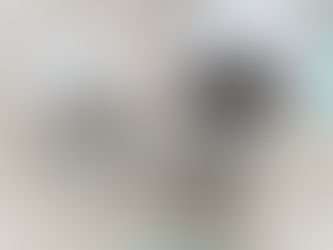 ボロニーズのじろくん、トイプードルのさぶろくん