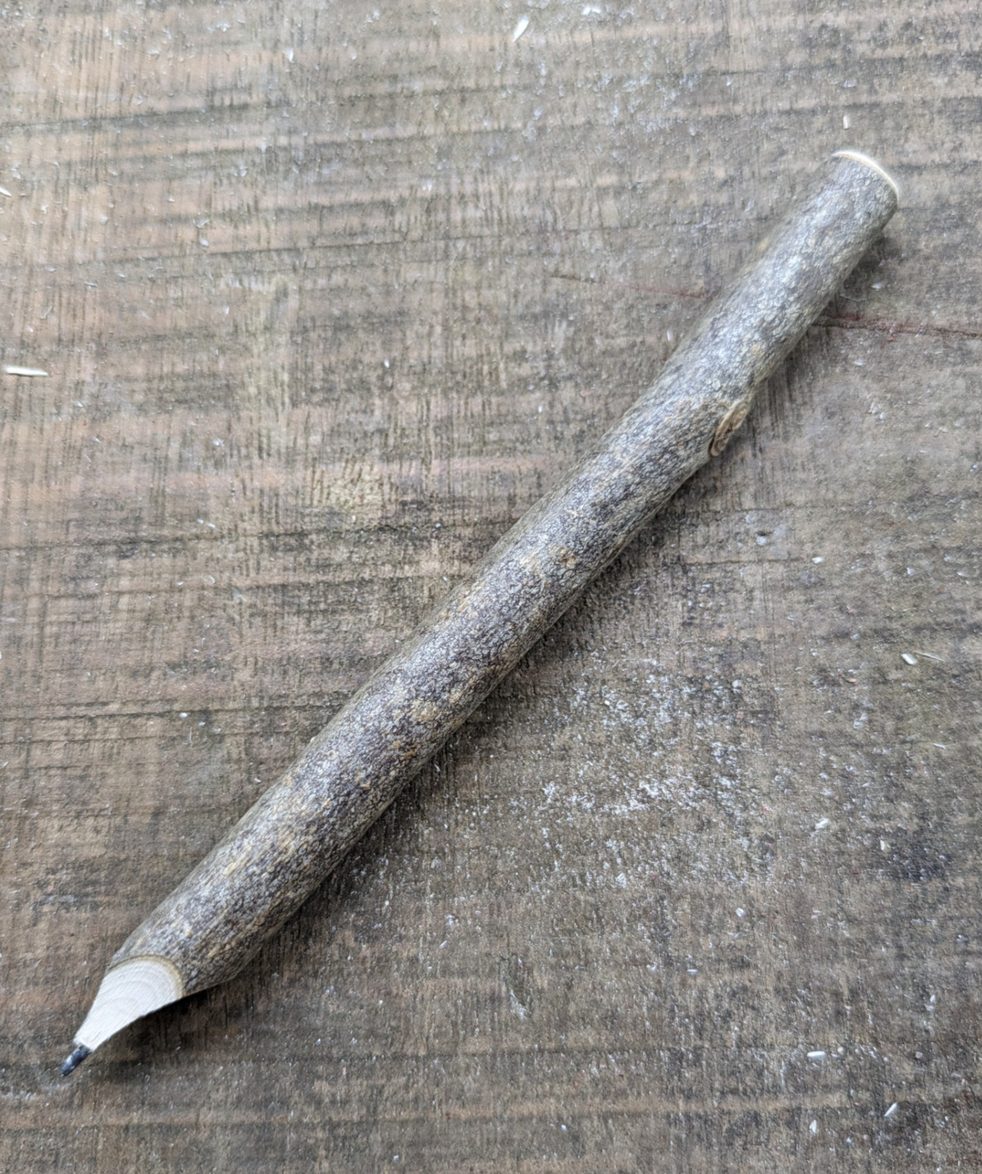 Coppiced Twig Pencil Kit
