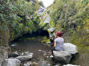 A rare quiet moment where I was able to sit in nature reflecting on navigating life transitions 