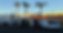 IMG_9973.jpeg