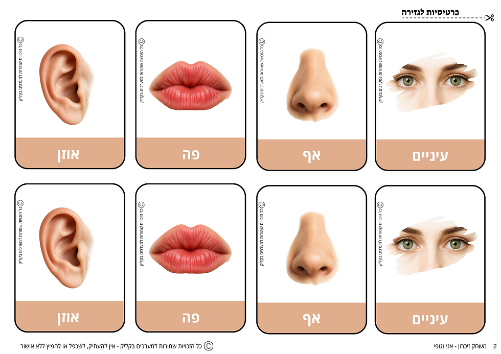 תמונה ממוזערת: מבצע מיוחד - חבילת 14 משחקים בנושא אני וגופי