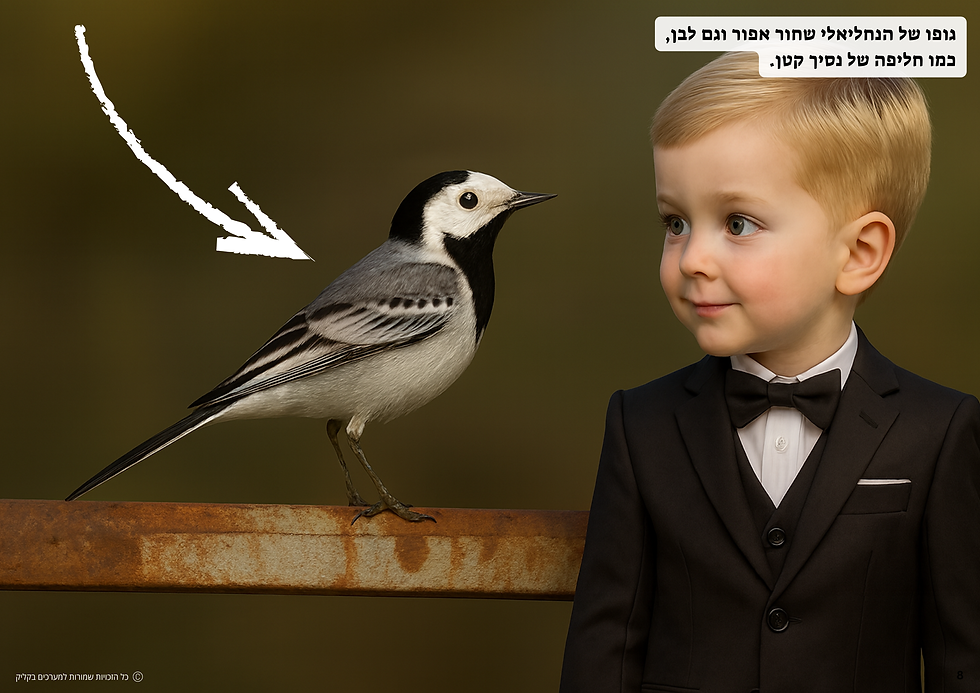 תמונה ממוזערת: סיפור נחליאלי של הסתיו - תפקוד נמוך