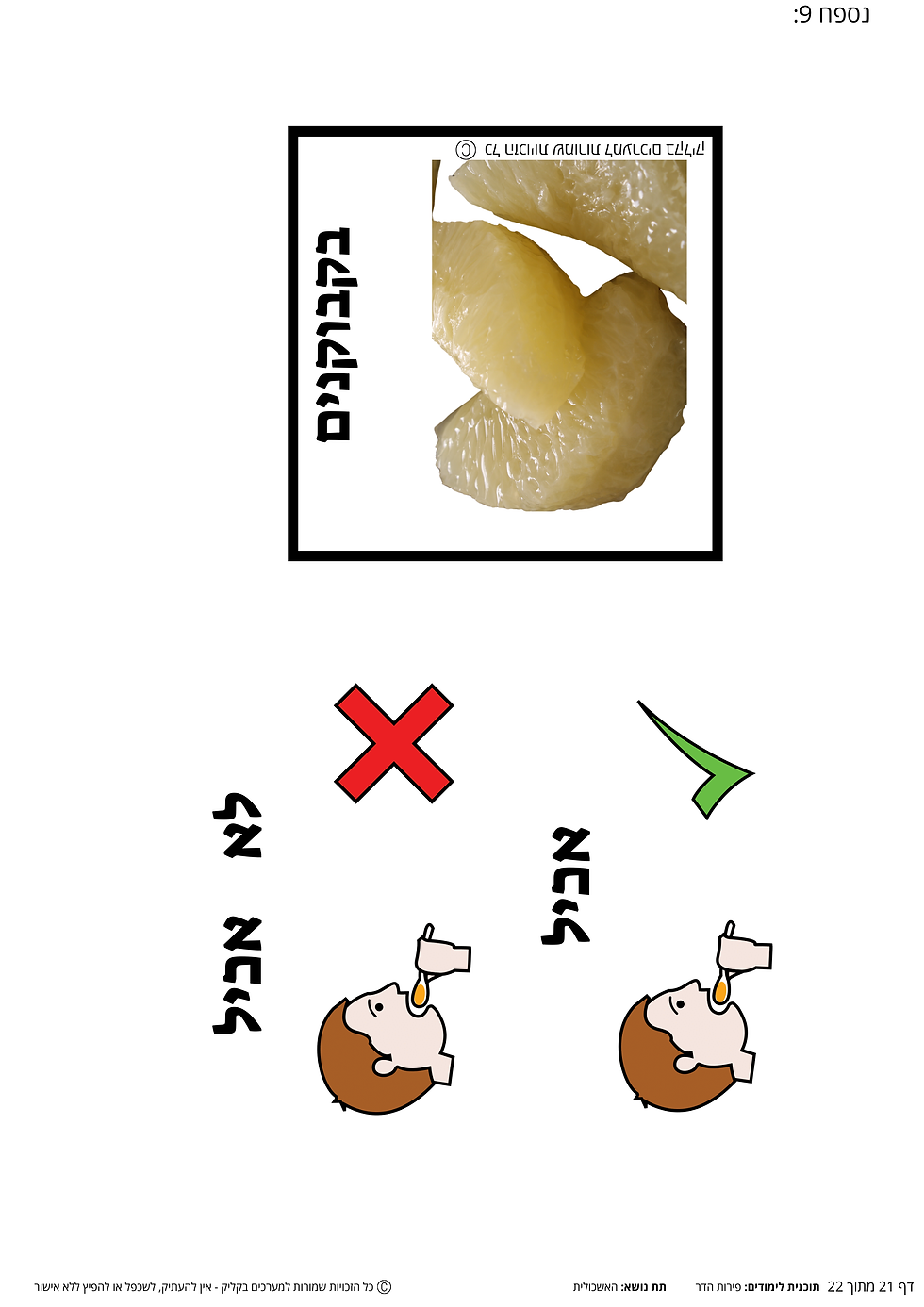 תמונה ממוזערת: ערכת תוכן בנושא פירות הדר המיועדת לתפקוד נמוך