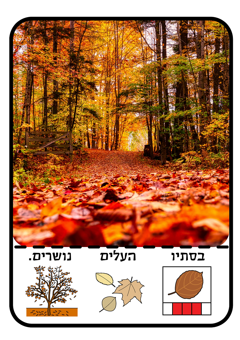 תמונה ממוזערת: ערכת תוכן בנושא הסתיו המיועדת לתפקוד גבוה + תפקוד נמוך