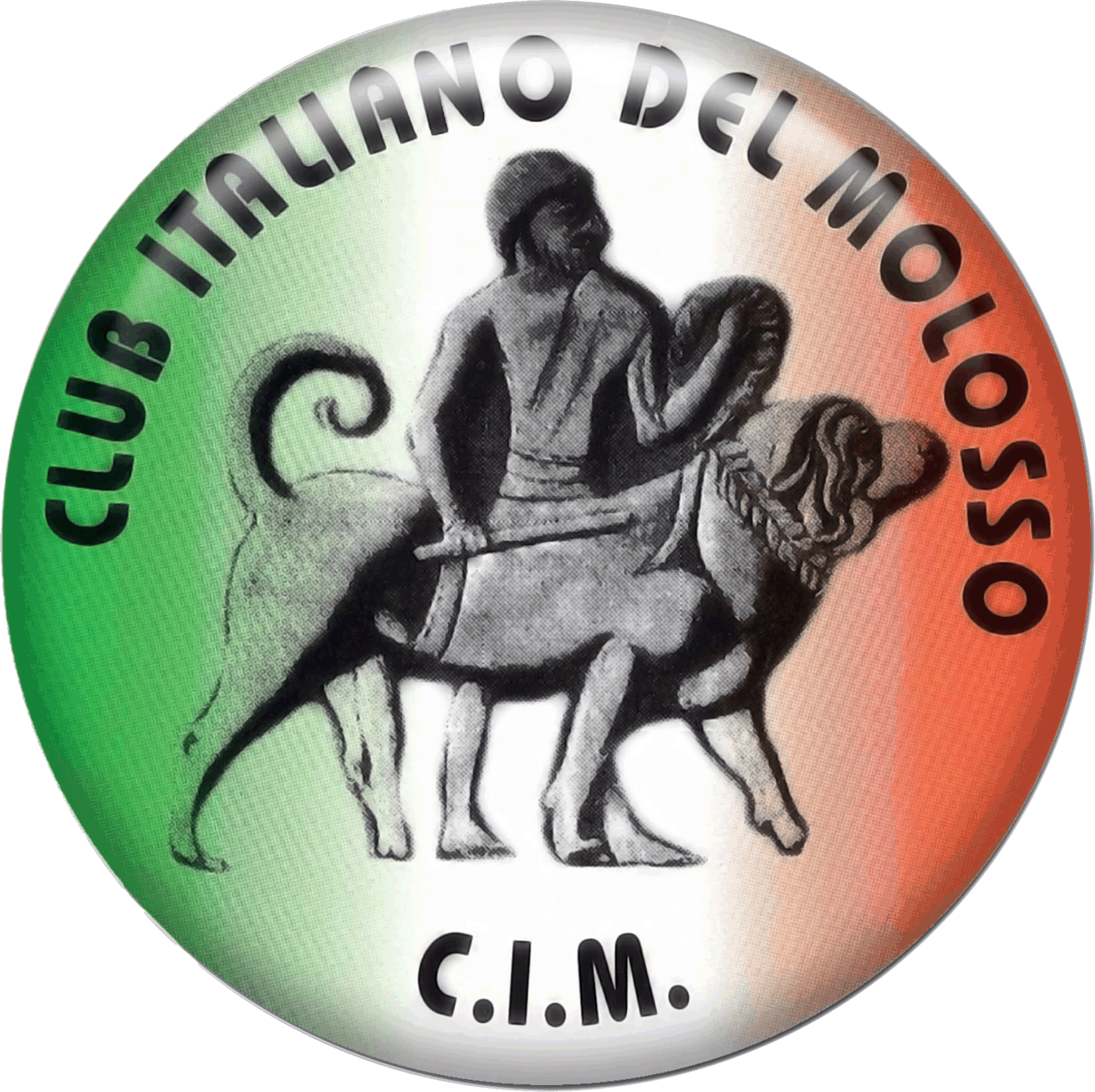 Logo Cim Alta Risoluzione GIF.gif