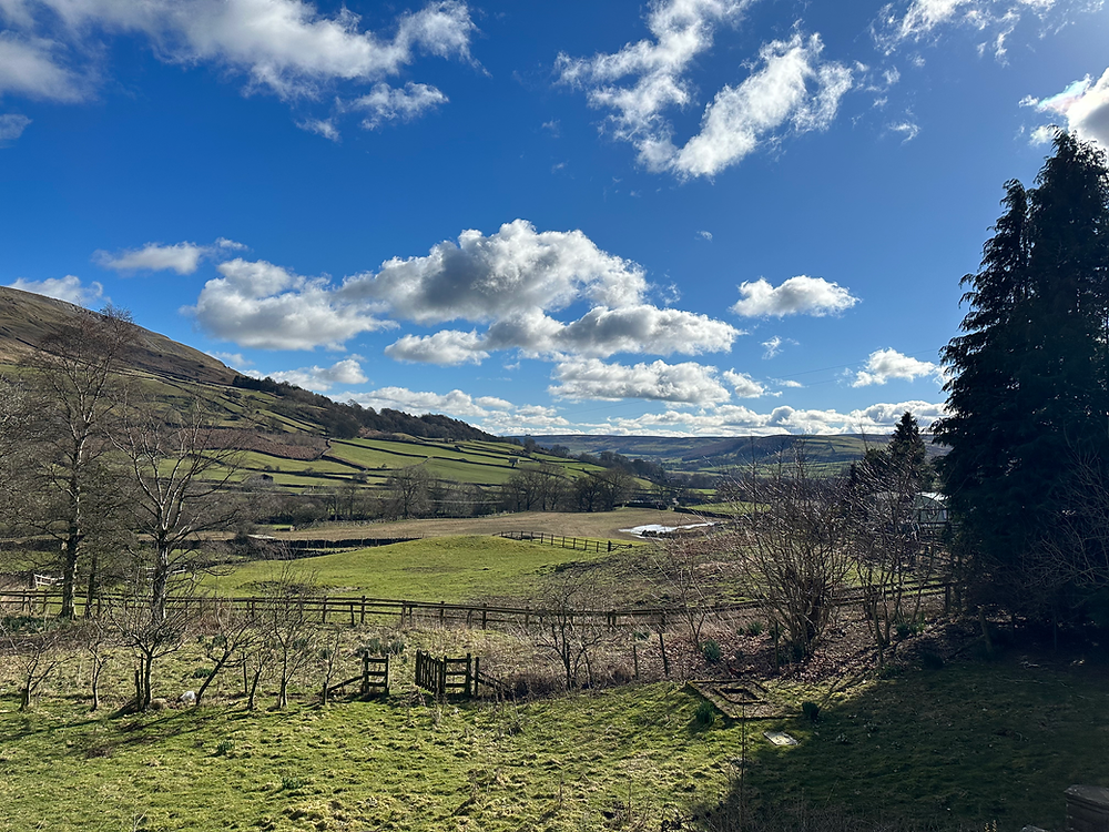 The Curse of Reeth #8 March