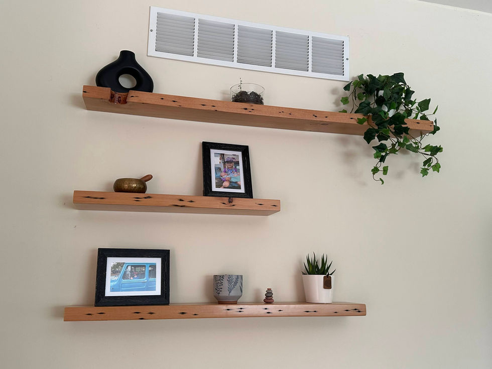 Custom Shelving, Bucks County PA Woodworking