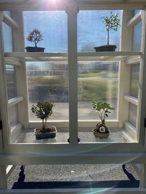 Custom Small Greenhouse, Bucks County PA Woodworking