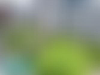 104/1A Lemon Tree Avenue, Melrose Park