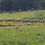 Thumbnail: October 11th Farm Series at Stock Family Farm