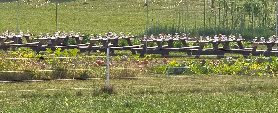 September 12th Farm Series at Stock Family Farm