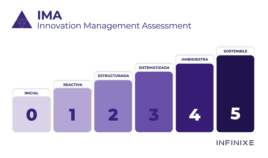 Niveles del IMA Diagnóstico Innovación Empresarial