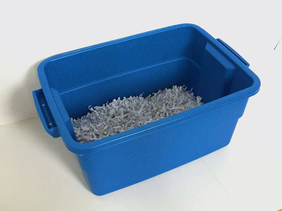 Thumbnail: Starter Worm Bin