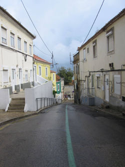 Olhar da Caminhante +