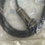 Thumbnail: ALLEN BRADLEY 872C-D5NP18-E2 INDUCTIVE PROXIMITY SENSOR 10-30VDC SER C 200MA