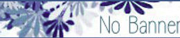 nobanner.jpg