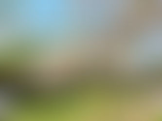 急遽・・・お花見🌸