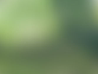 【今日は何の日?】