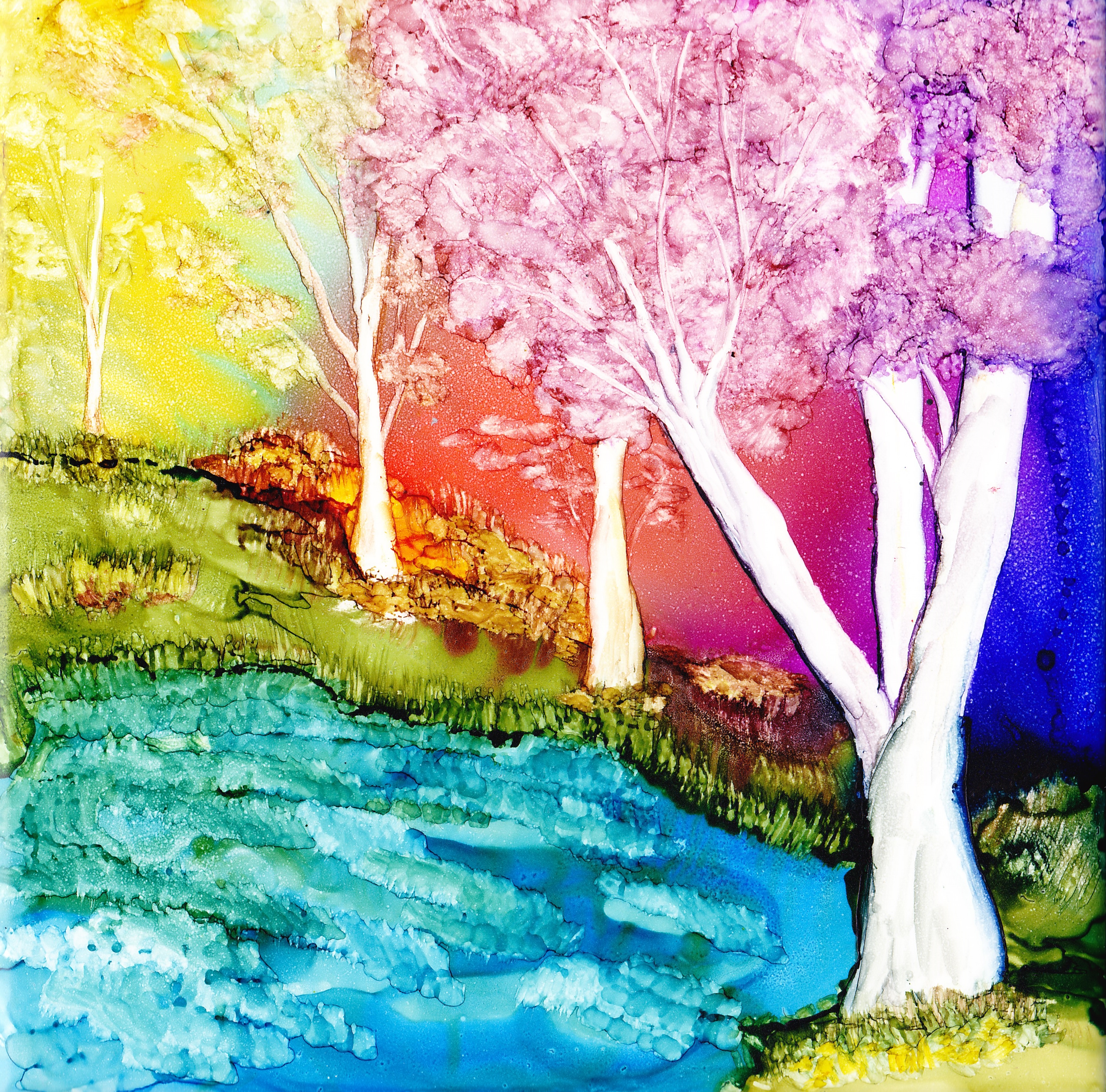 Magical Forest