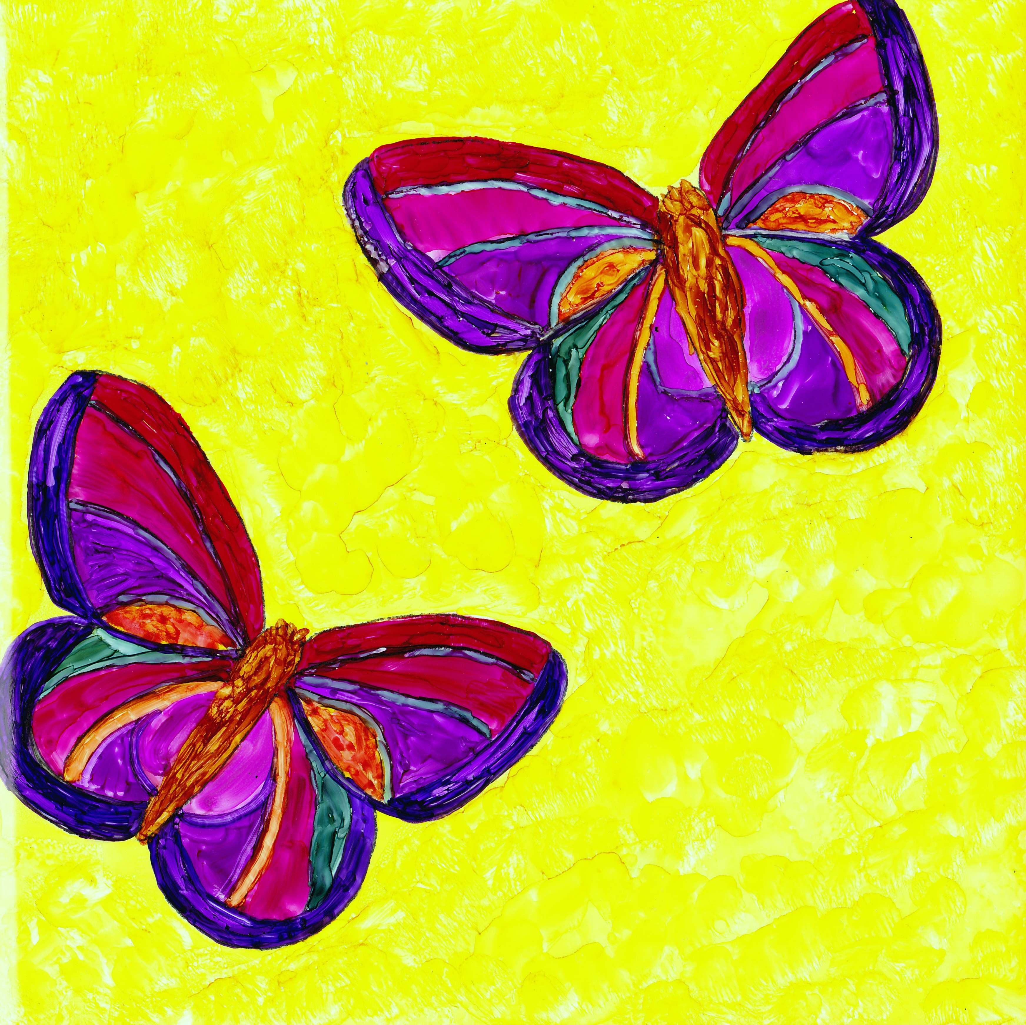 Butterflies