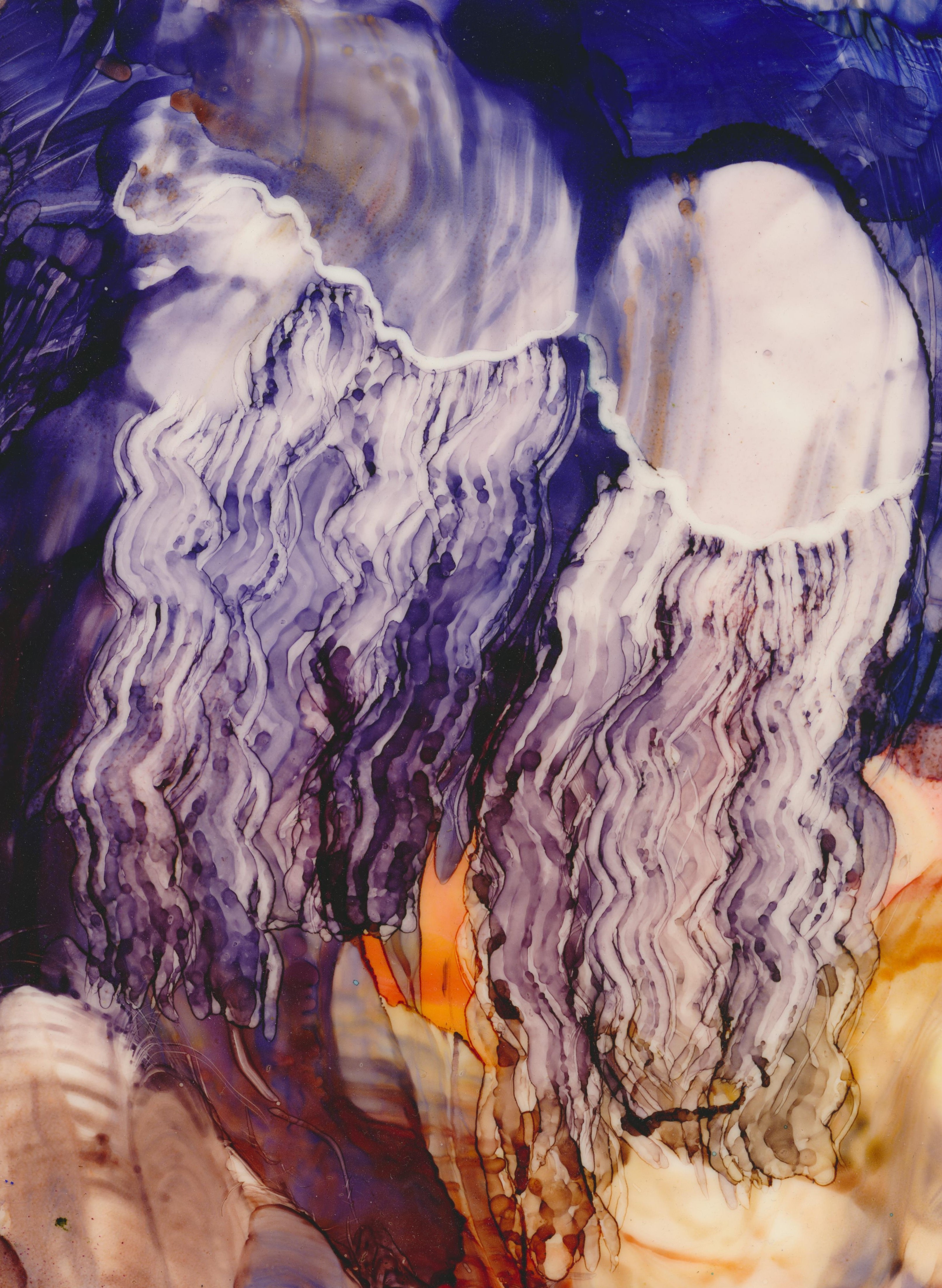Floaters