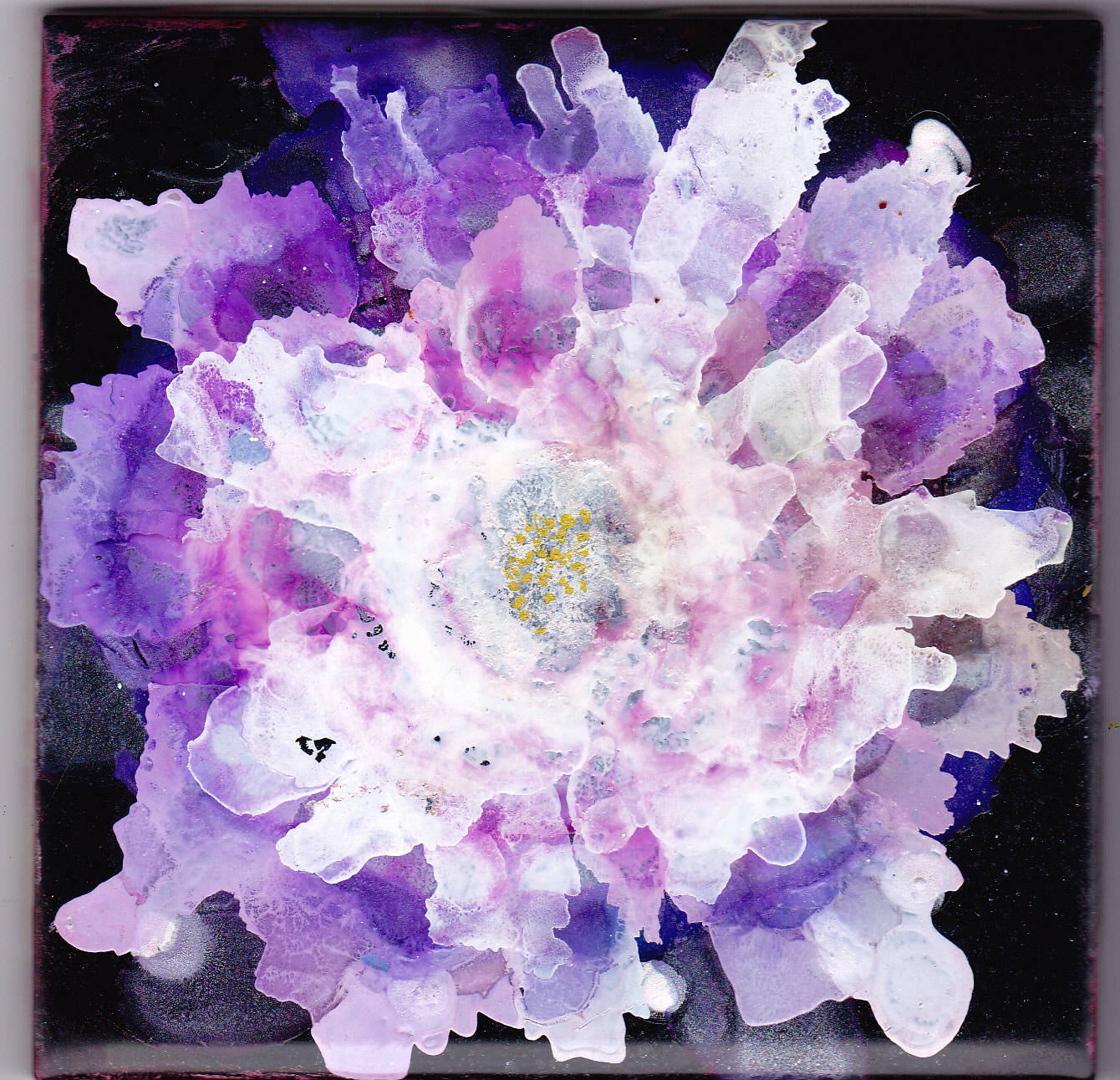 Lace Bloom
