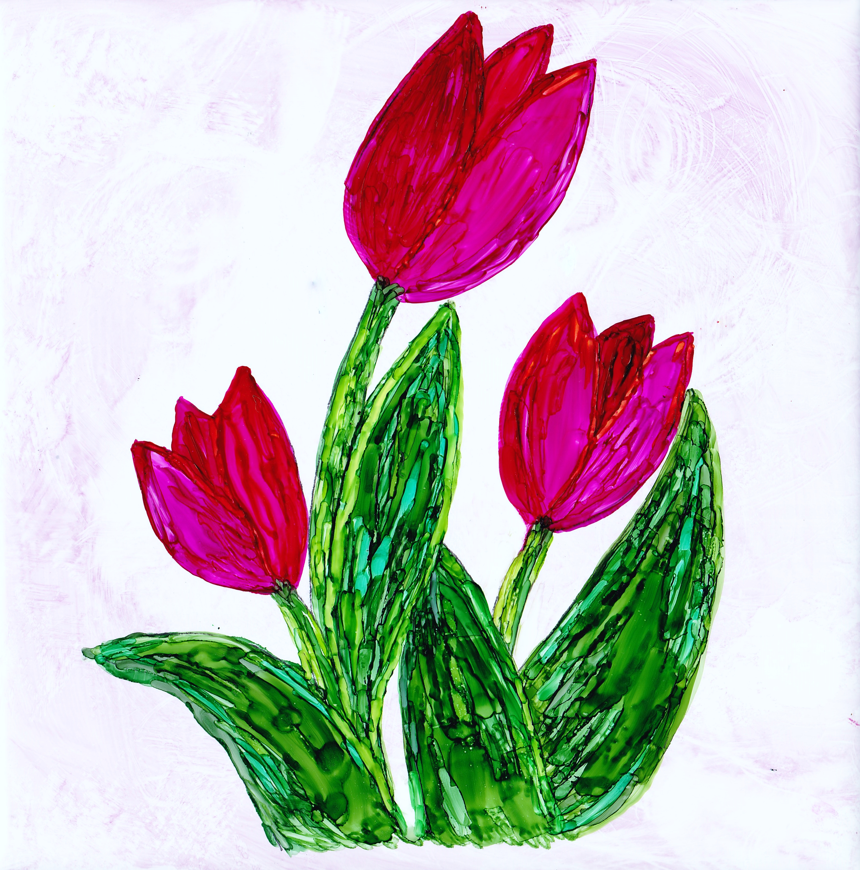 Spring Tulips