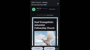 How to find a direct livestream link?