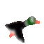 Canard de Max Doré (duck Hunt)