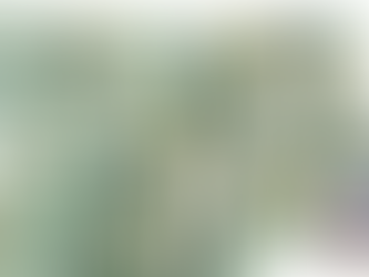 Devenez partenaire du nouveau média de Max Doré : La révolution de l'information