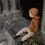 Miniatura: Stella