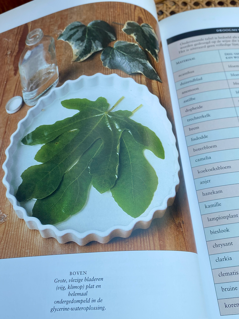 Thumbnail: Boek "Bloemen Drogen" Pamela Westland