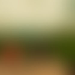 Stop Guessing SEO: 4 Ad “Tricks” That Tell You What to Write