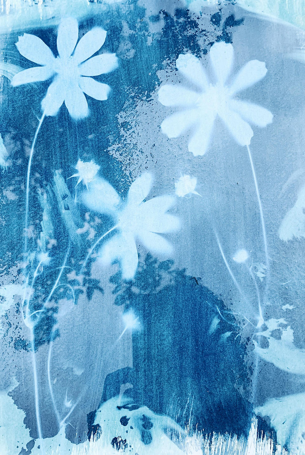The Art of Sun Printing: Cyanotype Workshop