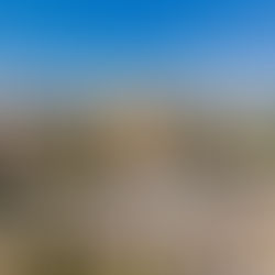 Reforma no Museu do Ipiranga revela descobertas arqueológicas