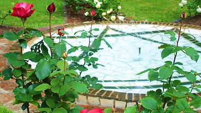 Silent Reflection.JPG