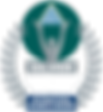 PNG file Stevie IBA Winner (Green)_수정.png