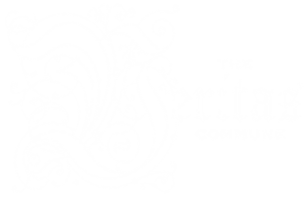 VERITAS LETTERING_edited_edited.png
