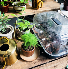 Schermafbeelding 2018-08-09 om 14.23.58.