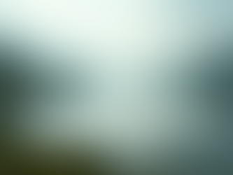 A Verdadeira Busca pela Felicidade Está em Seu Interior