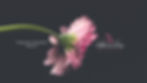 youtube art mitra.jpg