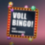 voll bingo cover 1308.jpg