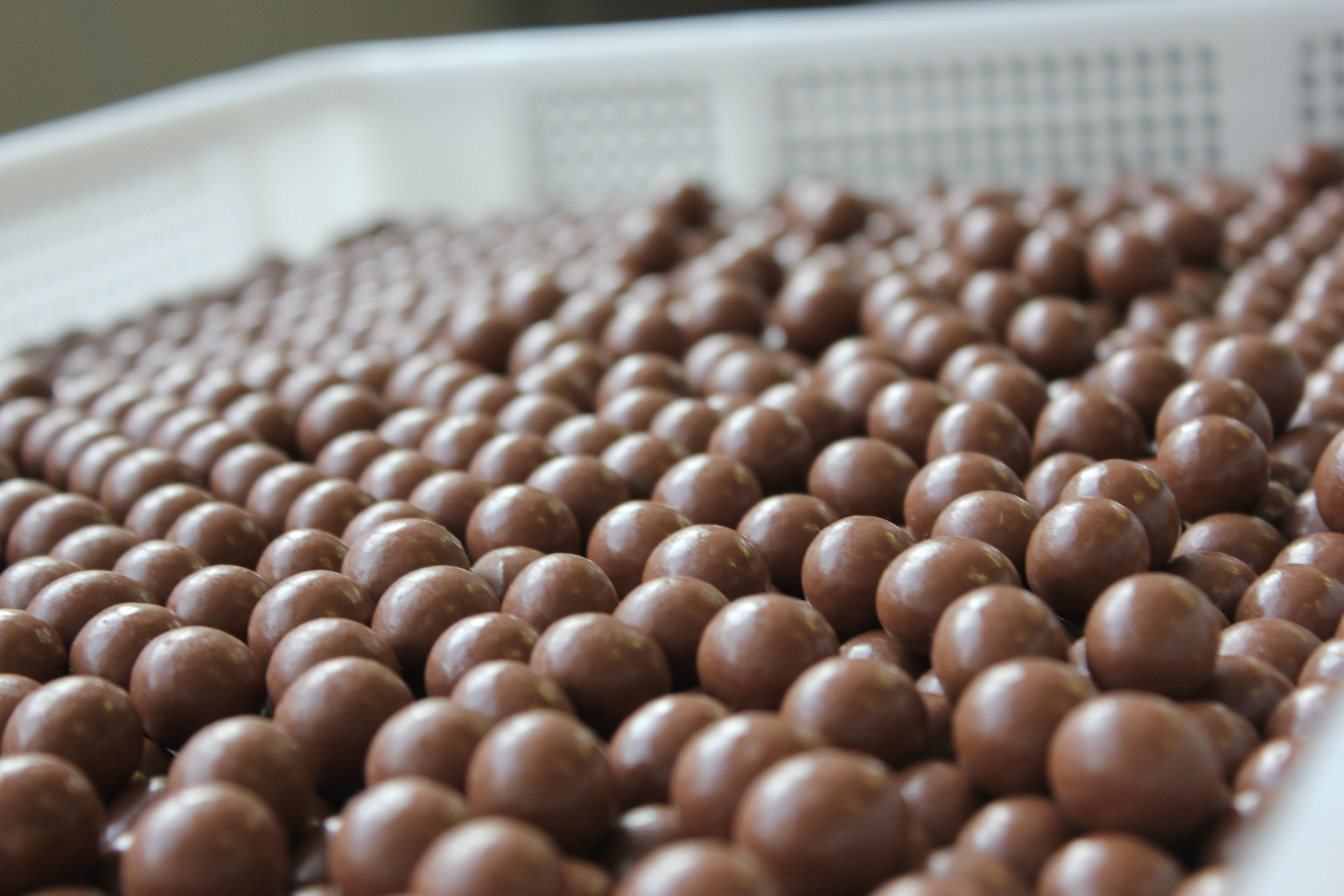 Milk chocolate pralines