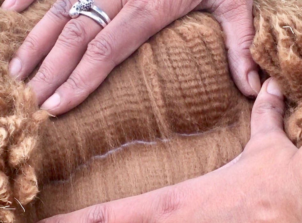 Thumbnail: Fingerless gloves in Fawn