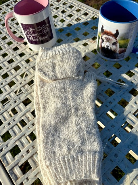 Winter White Combi Mittens