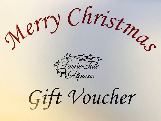 Christmas Gift Cards