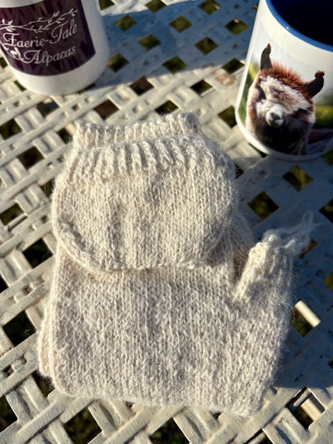 Thumbnail: Winter White Combi Mittens